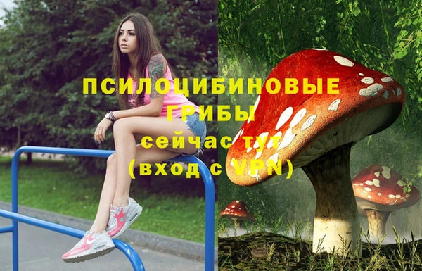 дмт Володарск