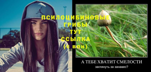 первитин Волоколамск