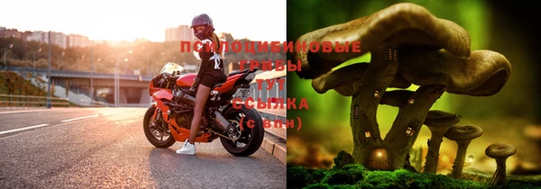 дурь Волосово